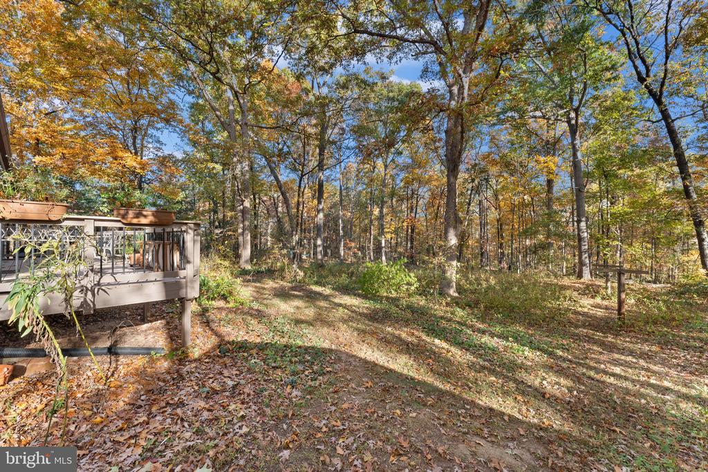 15544 NORMAN, CULPEPER, Virginia 22701, 3 Bedrooms Bedrooms, ,2 BathroomsBathrooms,Residential,15544 NORMAN,VACU2011992 MLS # VACU2011992 15544 NORMAN, CULPEPER, Virginia 22701, 3 Bedrooms Bedrooms, ,2 BathroomsBathrooms,Residential,15544 NORMAN,VACU2011992 MLS # VACU2011992