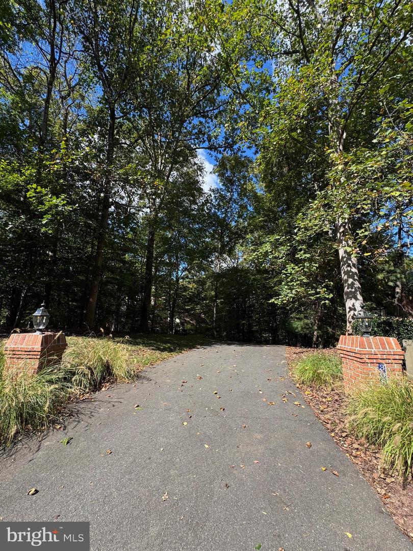 308 SINEGAR PL, POTOMAC FALLS, Virginia 20165, 5 Bedrooms Bedrooms, ,5 BathroomsBathrooms,Residential,For sale,308 SINEGAR PL,VALO2107348 MLS # VALO2107348 308 SINEGAR PL, POTOMAC FALLS, Virginia 20165, 5 Bedrooms Bedrooms, ,5 BathroomsBathrooms,Residential,For sale,308 SINEGAR PL,VALO2107348 MLS # VALO2107348