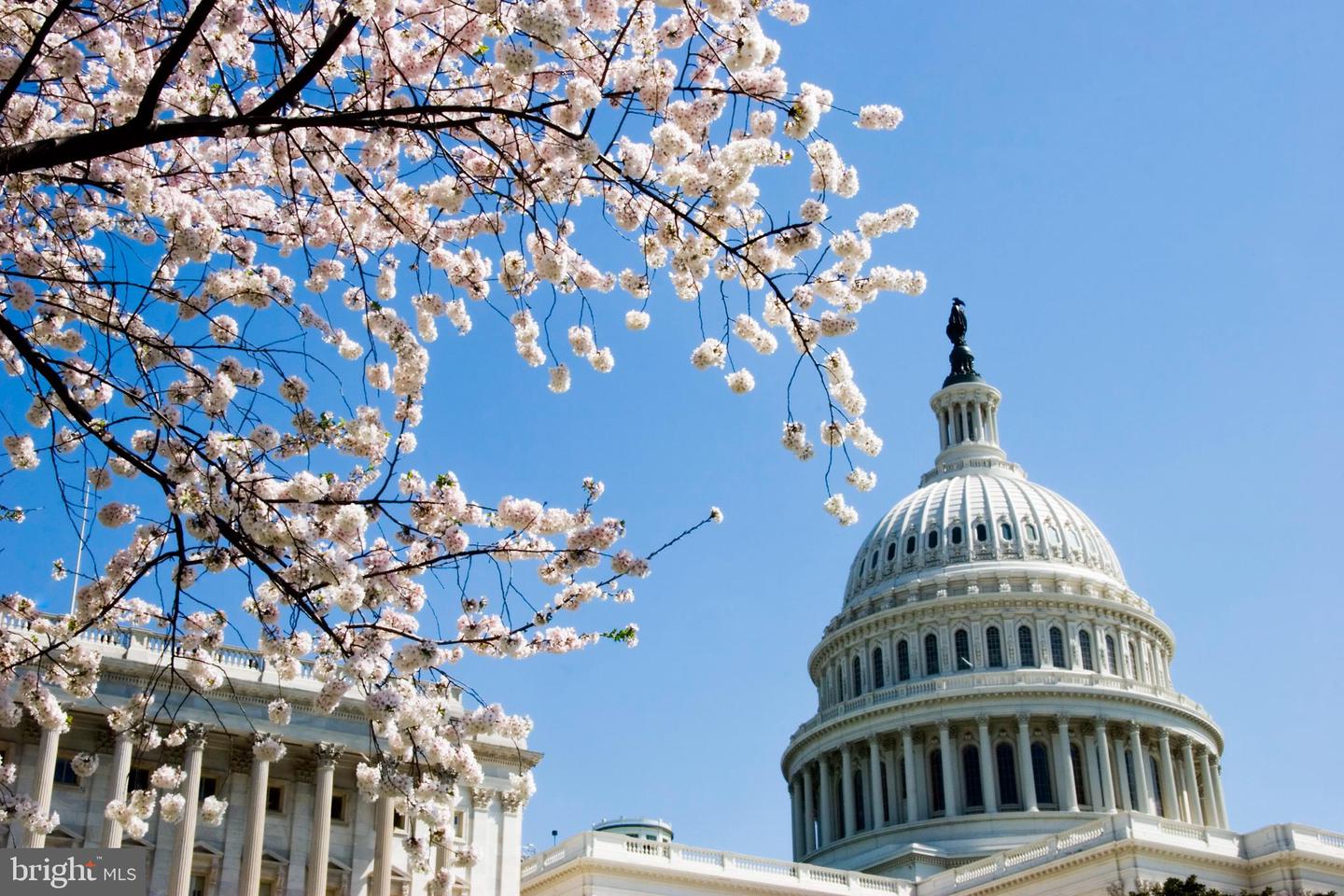 1019 SOUTH CAROLINA AVE SE, WASHINGTON, District Of Columbia 20003, 2 Bedrooms Bedrooms, ,1 BathroomBathrooms,Residential,For sale,1019 SOUTH CAROLINA AVE SE,DCDC2224318 MLS # DCDC2224318 1019 SOUTH CAROLINA AVE SE, WASHINGTON, District Of Columbia 20003, 2 Bedrooms Bedrooms, ,1 BathroomBathrooms,Residential,For sale,1019 SOUTH CAROLINA AVE SE,DCDC2224318 MLS # DCDC2224318