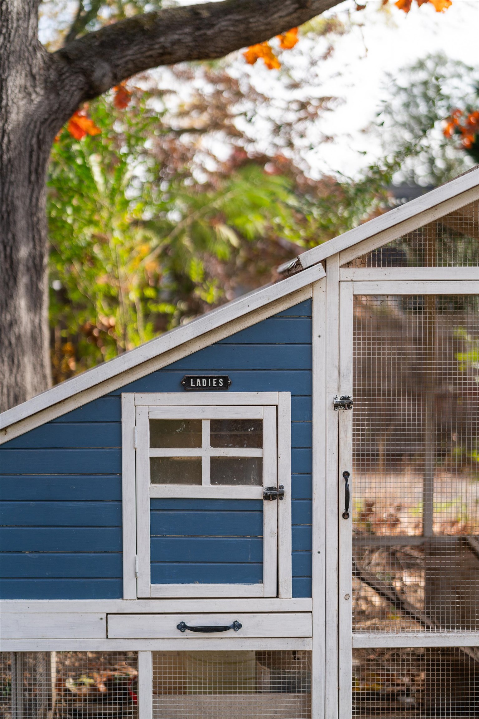 548 PINE AVE, WAYNESBORO, Virginia 22980, 3 Bedrooms Bedrooms, ,2 BathroomsBathrooms,Residential,548 PINE AVE,670796 MLS # 670796 548 PINE AVE, WAYNESBORO, Virginia 22980, 3 Bedrooms Bedrooms, ,2 BathroomsBathrooms,Residential,548 PINE AVE,670796 MLS # 670796