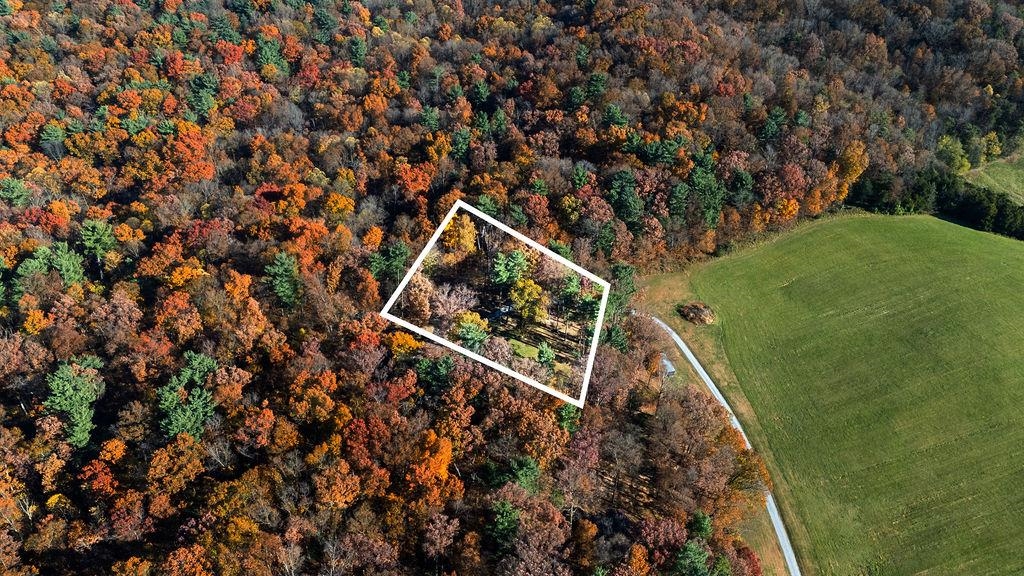 333 BRIDGEWATER RD, BRIDGEWATER, Virginia 22812, 3 Bedrooms Bedrooms, ,2 BathroomsBathrooms,Residential,333 BRIDGEWATER RD,670801 MLS # 670801 333 BRIDGEWATER RD, BRIDGEWATER, Virginia 22812, 3 Bedrooms Bedrooms, ,2 BathroomsBathrooms,Residential,333 BRIDGEWATER RD,670801 MLS # 670801