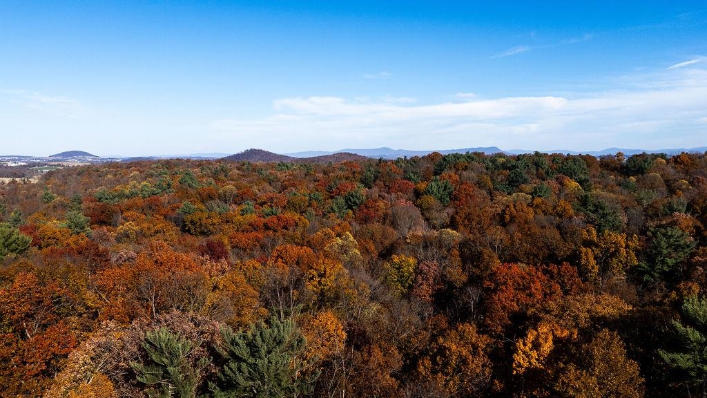 333 BRIDGEWATER RD, BRIDGEWATER, Virginia 22812, 3 Bedrooms Bedrooms, ,2 BathroomsBathrooms,Residential,333 BRIDGEWATER RD,670801 MLS # 670801 333 BRIDGEWATER RD, BRIDGEWATER, Virginia 22812, 3 Bedrooms Bedrooms, ,2 BathroomsBathrooms,Residential,333 BRIDGEWATER RD,670801 MLS # 670801