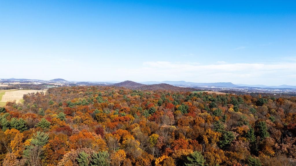 333 BRIDGEWATER RD, BRIDGEWATER, Virginia 22812, 3 Bedrooms Bedrooms, ,2 BathroomsBathrooms,Residential,333 BRIDGEWATER RD,670801 MLS # 670801 333 BRIDGEWATER RD, BRIDGEWATER, Virginia 22812, 3 Bedrooms Bedrooms, ,2 BathroomsBathrooms,Residential,333 BRIDGEWATER RD,670801 MLS # 670801