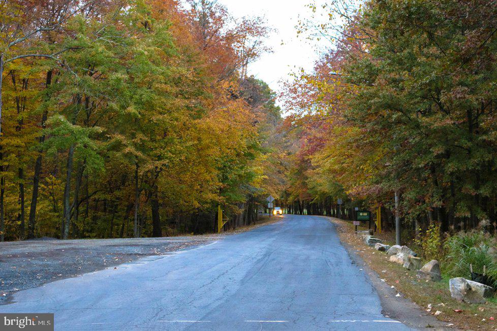 20419 RIVERBEND SQ #301, STERLING, Virginia 20165, 2 Bedrooms Bedrooms, ,2 BathroomsBathrooms,Residential,For sale,20419 RIVERBEND SQ #301,VALO2108762 MLS # VALO2108762 20419 RIVERBEND SQ #301, STERLING, Virginia 20165, 2 Bedrooms Bedrooms, ,2 BathroomsBathrooms,Residential,For sale,20419 RIVERBEND SQ #301,VALO2108762 MLS # VALO2108762