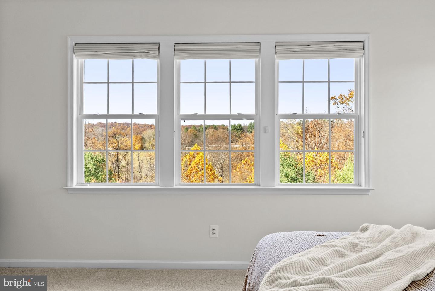 21015 HONEYCREEPER PL, LEESBURG, Virginia 20175, 5 Bedrooms Bedrooms, ,4 BathroomsBathrooms,Residential,For sale,21015 HONEYCREEPER PL,VALO2108778 MLS # VALO2108778