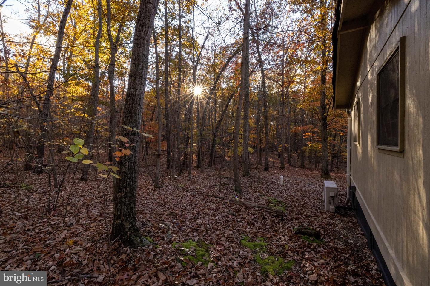 335 WILDWOOD LN, SHENANDOAH, Virginia 22849, 2 Bedrooms Bedrooms, ,1 BathroomBathrooms,Residential,For sale,335 WILDWOOD LN,VAPA2005504 MLS # VAPA2005504 335 WILDWOOD LN, SHENANDOAH, Virginia 22849, 2 Bedrooms Bedrooms, ,1 BathroomBathrooms,Residential,For sale,335 WILDWOOD LN,VAPA2005504 MLS # VAPA2005504