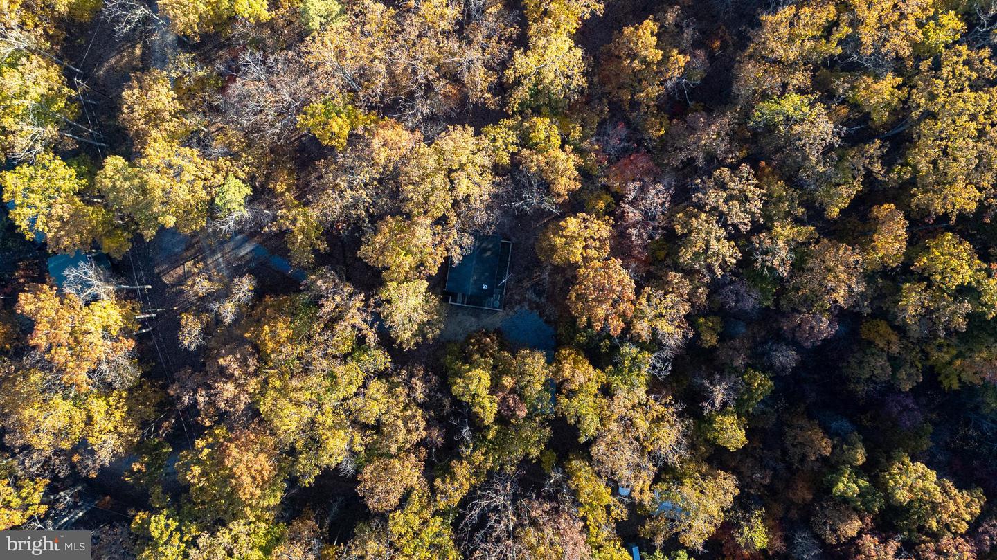 335 WILDWOOD LN, SHENANDOAH, Virginia 22849, 2 Bedrooms Bedrooms, ,1 BathroomBathrooms,Residential,For sale,335 WILDWOOD LN,VAPA2005504 MLS # VAPA2005504 335 WILDWOOD LN, SHENANDOAH, Virginia 22849, 2 Bedrooms Bedrooms, ,1 BathroomBathrooms,Residential,For sale,335 WILDWOOD LN,VAPA2005504 MLS # VAPA2005504