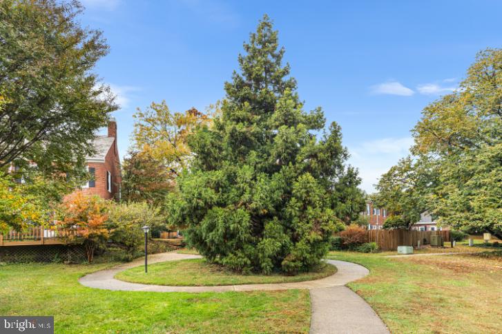 4427 34TH ST S, ARLINGTON, Virginia 22206, 2 Bedrooms Bedrooms, ,3 BathroomsBathrooms,Residential,For sale,4427 34TH ST S,VAAR2065054 MLS # VAAR2065054 4427 34TH ST S, ARLINGTON, Virginia 22206, 2 Bedrooms Bedrooms, ,3 BathroomsBathrooms,Residential,For sale,4427 34TH ST S,VAAR2065054 MLS # VAAR2065054