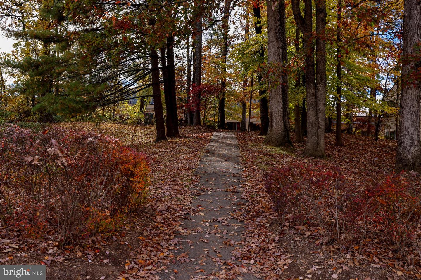 9523 CHERRY OAK CT, BURKE, Virginia 22015, 3 Bedrooms Bedrooms, ,2 BathroomsBathrooms,Residential,For sale,9523 CHERRY OAK CT,VAFX2276052 MLS # VAFX2276052 9523 CHERRY OAK CT, BURKE, Virginia 22015, 3 Bedrooms Bedrooms, ,2 BathroomsBathrooms,Residential,For sale,9523 CHERRY OAK CT,VAFX2276052 MLS # VAFX2276052