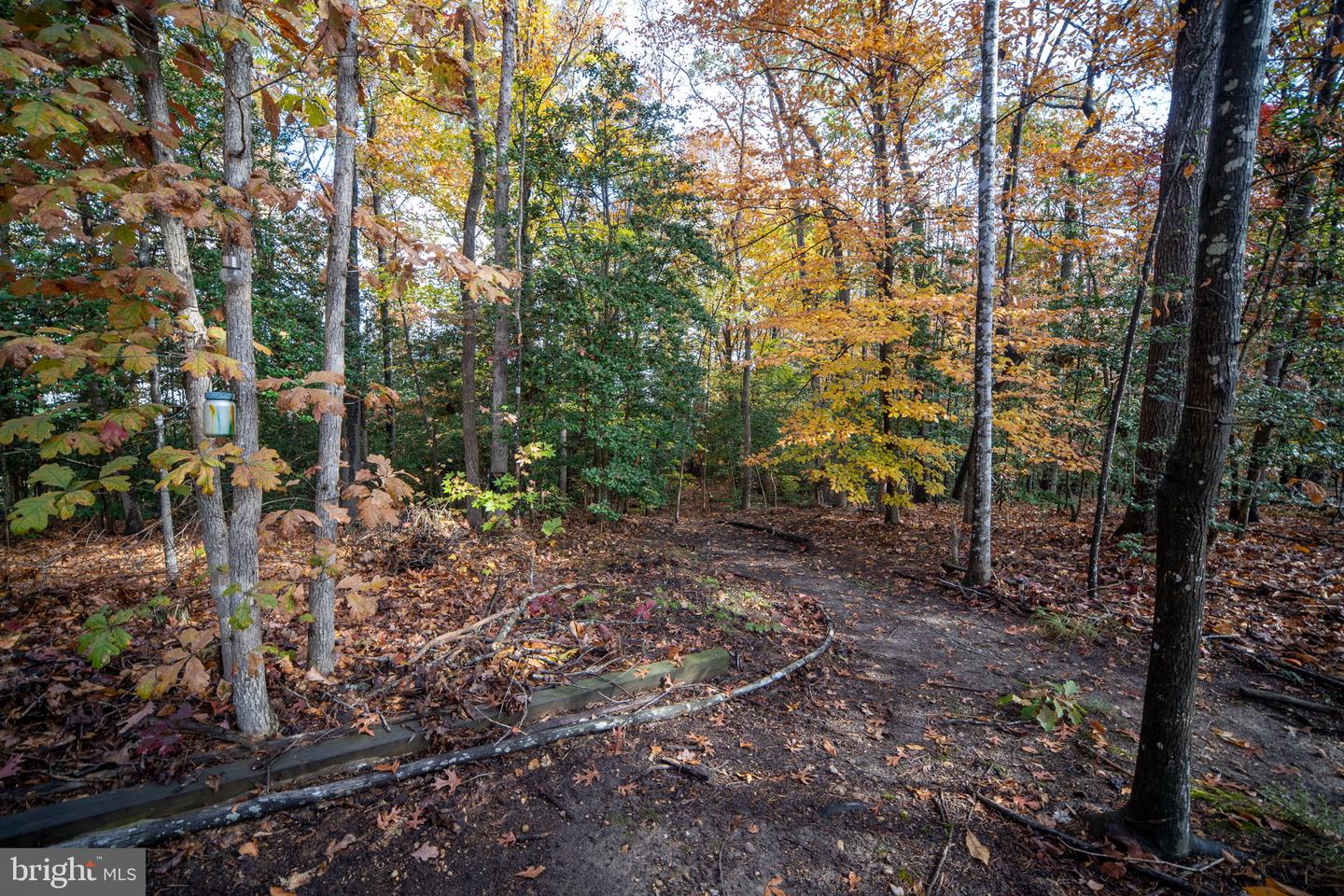 11411 STRIPED MAPLE CT, FREDERICKSBURG, Virginia 22407, 4 Bedrooms Bedrooms, ,3 BathroomsBathrooms,Residential,For sale,11411 STRIPED MAPLE CT,VASP2037248 MLS # VASP2037248