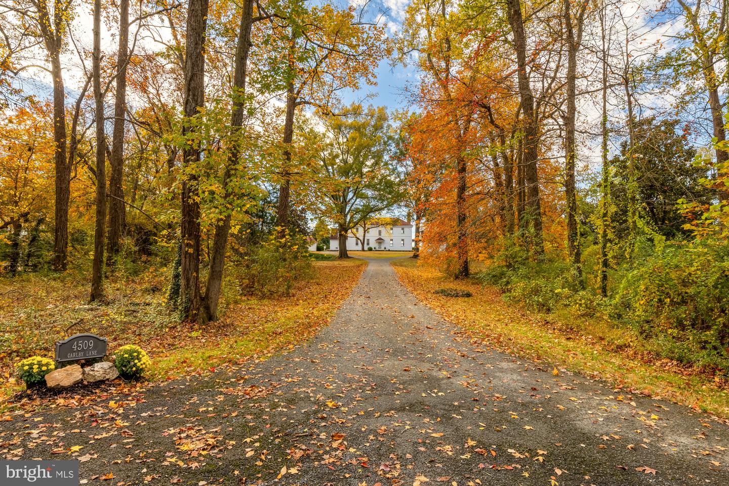 4509 CARLBY LN, ALEXANDRIA, Virginia 22309, 5 Bedrooms Bedrooms, ,3 BathroomsBathrooms,Residential,For sale,4509 CARLBY LN,VAFX2276710 MLS # VAFX2276710