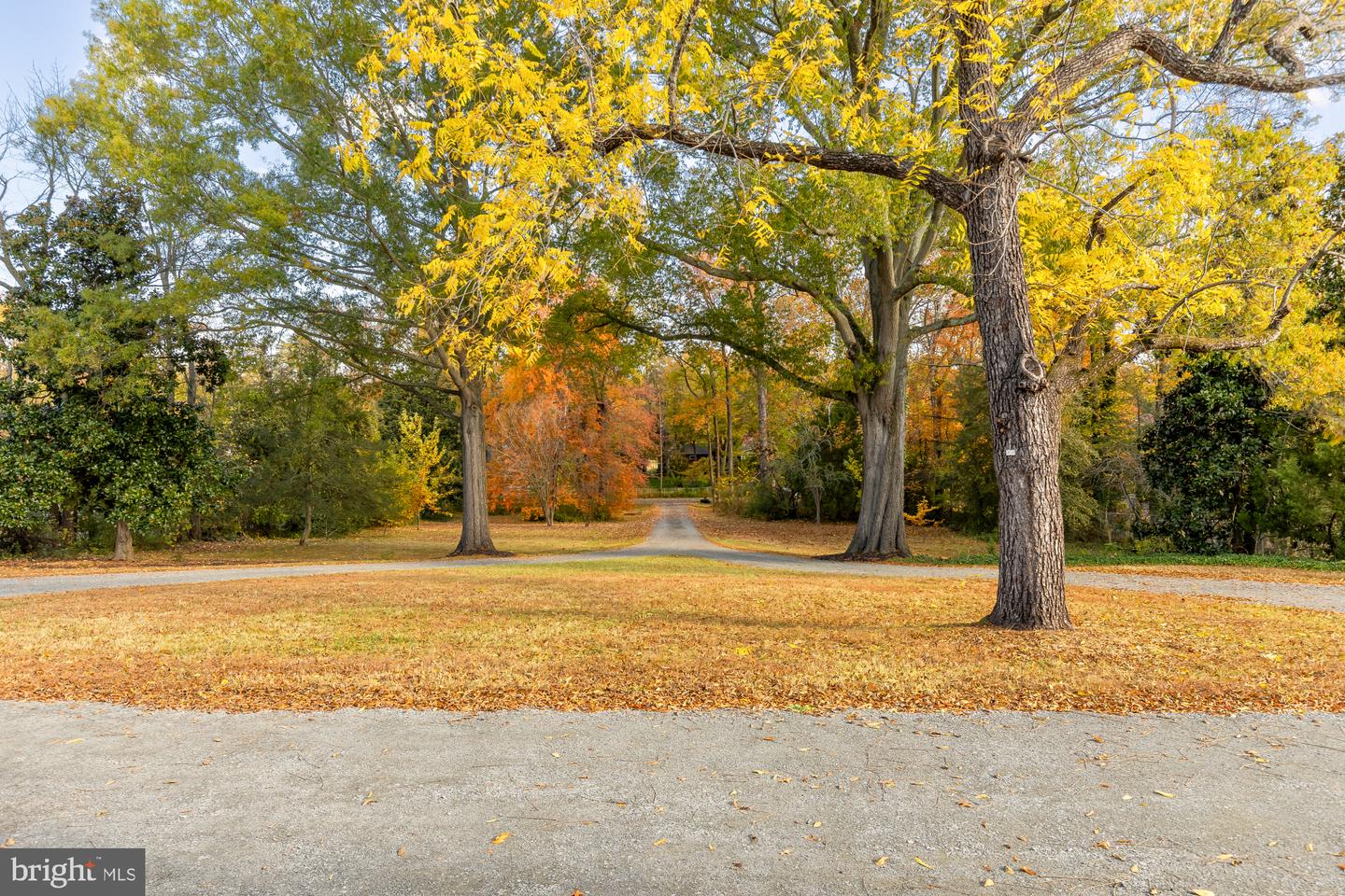 4509 CARLBY LN, ALEXANDRIA, Virginia 22309, 5 Bedrooms Bedrooms, ,3 BathroomsBathrooms,Residential,For sale,4509 CARLBY LN,VAFX2276710 MLS # VAFX2276710