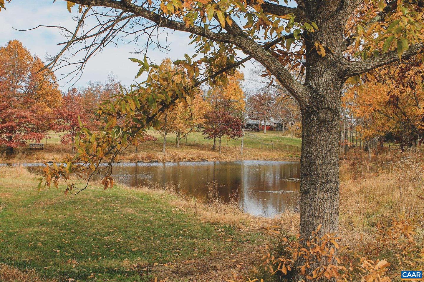 3785 ROLLING RD S, SCOTTSVILLE, Virginia 24590, 2 Bedrooms Bedrooms, ,1 BathroomBathrooms,Farm,For sale,3785 ROLLING RD S,670836 MLS # 670836 3785 ROLLING RD S, SCOTTSVILLE, Virginia 24590, 2 Bedrooms Bedrooms, ,1 BathroomBathrooms,Farm,For sale,3785 ROLLING RD S,670836 MLS # 670836