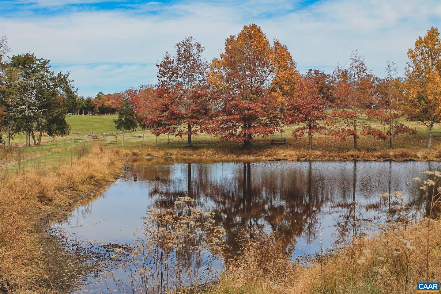 3785 ROLLING RD S, SCOTTSVILLE, Virginia 24590, 2 Bedrooms Bedrooms, ,1 BathroomBathrooms,Farm,For sale,3785 ROLLING RD S,670836 MLS # 670836 3785 ROLLING RD S, SCOTTSVILLE, Virginia 24590, 2 Bedrooms Bedrooms, ,1 BathroomBathrooms,Farm,For sale,3785 ROLLING RD S,670836 MLS # 670836