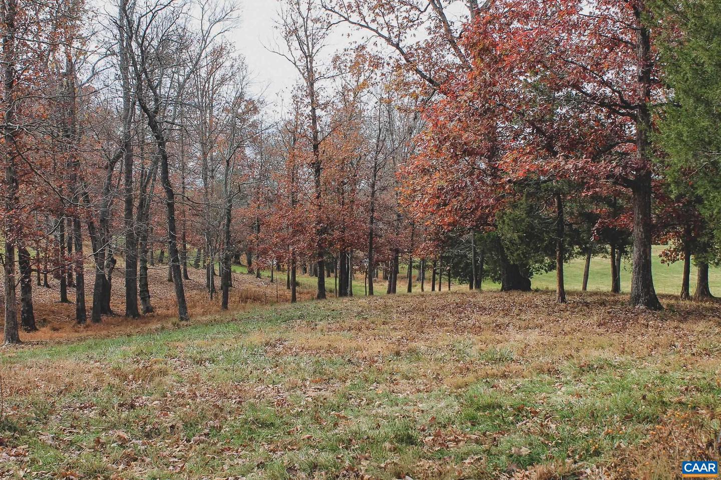 3785 ROLLING RD S, SCOTTSVILLE, Virginia 24590, 2 Bedrooms Bedrooms, ,1 BathroomBathrooms,Farm,For sale,3785 ROLLING RD S,670836 MLS # 670836 3785 ROLLING RD S, SCOTTSVILLE, Virginia 24590, 2 Bedrooms Bedrooms, ,1 BathroomBathrooms,Farm,For sale,3785 ROLLING RD S,670836 MLS # 670836