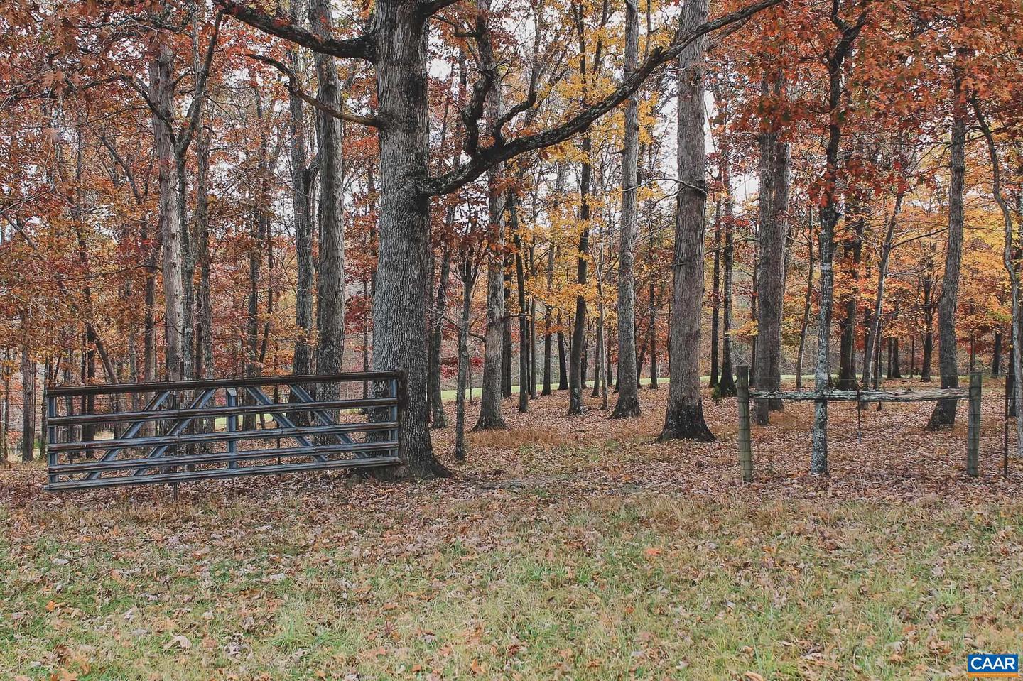 3785 ROLLING RD S, SCOTTSVILLE, Virginia 24590, 2 Bedrooms Bedrooms, ,1 BathroomBathrooms,Farm,For sale,3785 ROLLING RD S,670836 MLS # 670836 3785 ROLLING RD S, SCOTTSVILLE, Virginia 24590, 2 Bedrooms Bedrooms, ,1 BathroomBathrooms,Farm,For sale,3785 ROLLING RD S,670836 MLS # 670836