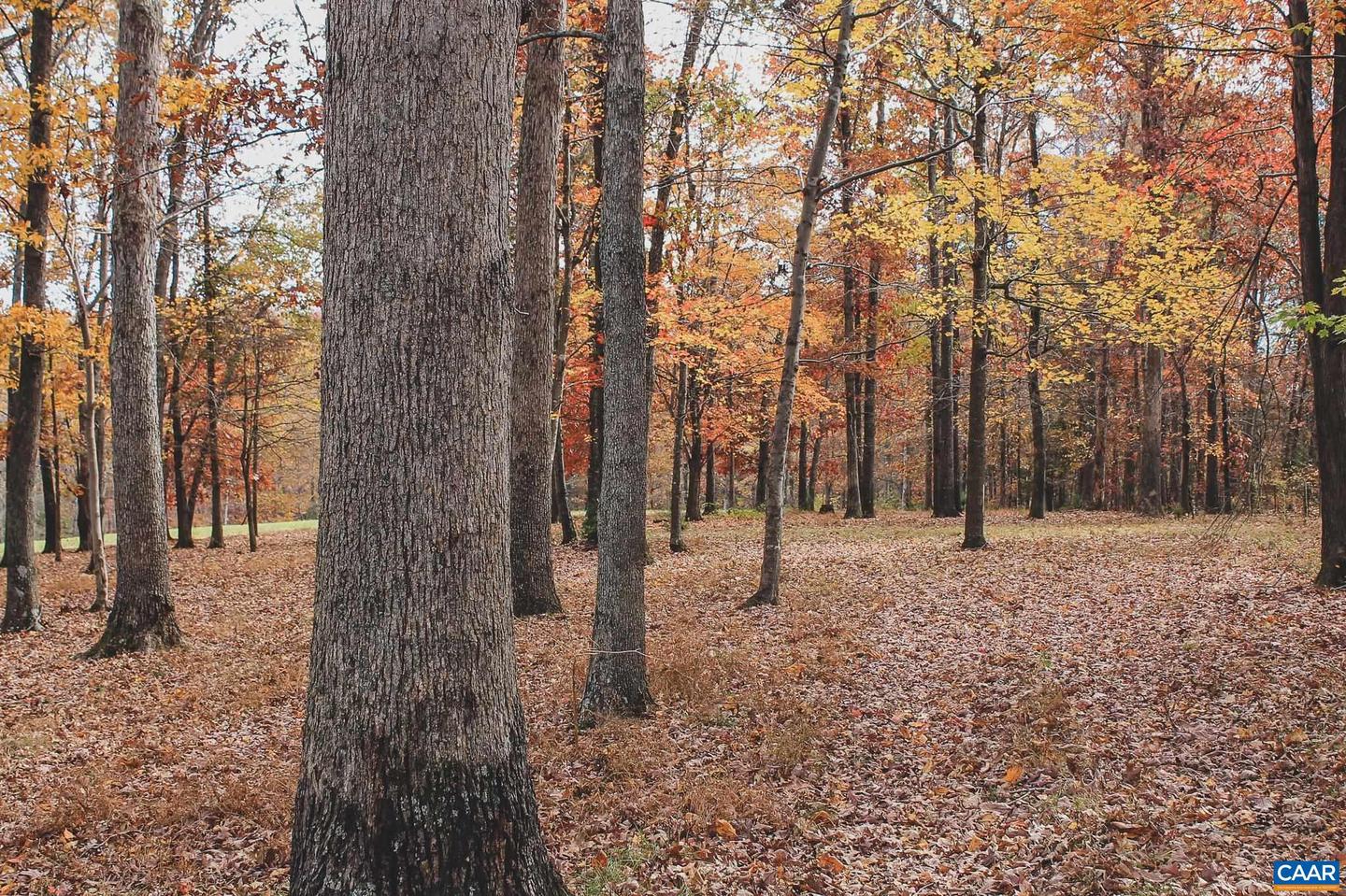 3785 ROLLING RD S, SCOTTSVILLE, Virginia 24590, 2 Bedrooms Bedrooms, ,1 BathroomBathrooms,Farm,For sale,3785 ROLLING RD S,670836 MLS # 670836 3785 ROLLING RD S, SCOTTSVILLE, Virginia 24590, 2 Bedrooms Bedrooms, ,1 BathroomBathrooms,Farm,For sale,3785 ROLLING RD S,670836 MLS # 670836