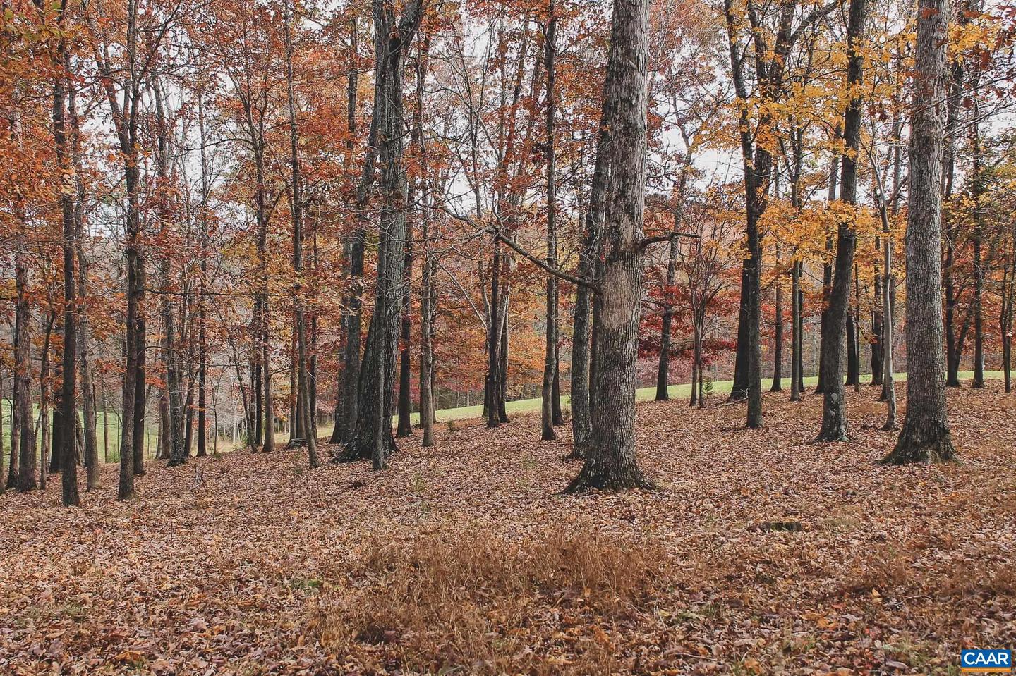 3785 ROLLING RD S, SCOTTSVILLE, Virginia 24590, 2 Bedrooms Bedrooms, ,1 BathroomBathrooms,Farm,For sale,3785 ROLLING RD S,670836 MLS # 670836 3785 ROLLING RD S, SCOTTSVILLE, Virginia 24590, 2 Bedrooms Bedrooms, ,1 BathroomBathrooms,Farm,For sale,3785 ROLLING RD S,670836 MLS # 670836