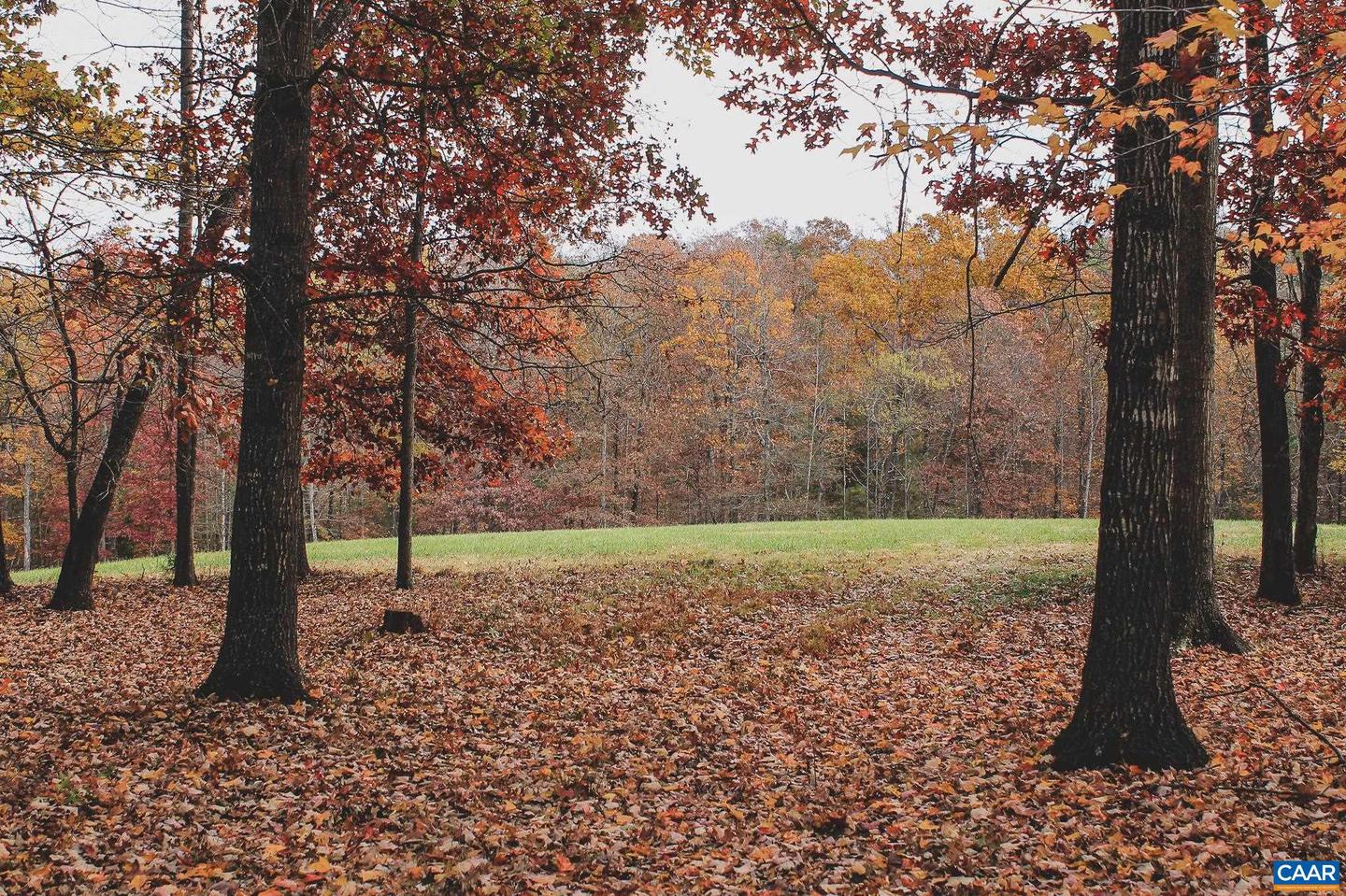 3785 ROLLING RD S, SCOTTSVILLE, Virginia 24590, 2 Bedrooms Bedrooms, ,1 BathroomBathrooms,Farm,For sale,3785 ROLLING RD S,670836 MLS # 670836 3785 ROLLING RD S, SCOTTSVILLE, Virginia 24590, 2 Bedrooms Bedrooms, ,1 BathroomBathrooms,Farm,For sale,3785 ROLLING RD S,670836 MLS # 670836