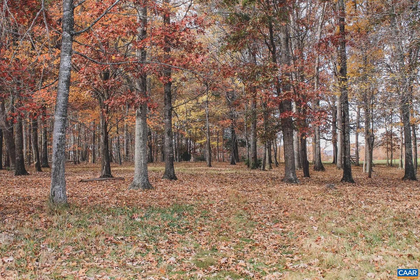 3785 ROLLING RD S, SCOTTSVILLE, Virginia 24590, 2 Bedrooms Bedrooms, ,1 BathroomBathrooms,Farm,For sale,3785 ROLLING RD S,670836 MLS # 670836 3785 ROLLING RD S, SCOTTSVILLE, Virginia 24590, 2 Bedrooms Bedrooms, ,1 BathroomBathrooms,Farm,For sale,3785 ROLLING RD S,670836 MLS # 670836