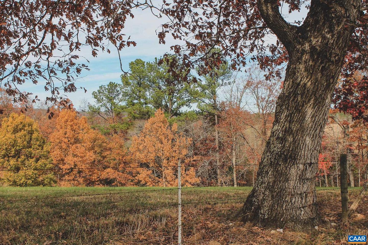 3785 ROLLING RD S, SCOTTSVILLE, Virginia 24590, 2 Bedrooms Bedrooms, ,1 BathroomBathrooms,Farm,For sale,3785 ROLLING RD S,670836 MLS # 670836 3785 ROLLING RD S, SCOTTSVILLE, Virginia 24590, 2 Bedrooms Bedrooms, ,1 BathroomBathrooms,Farm,For sale,3785 ROLLING RD S,670836 MLS # 670836