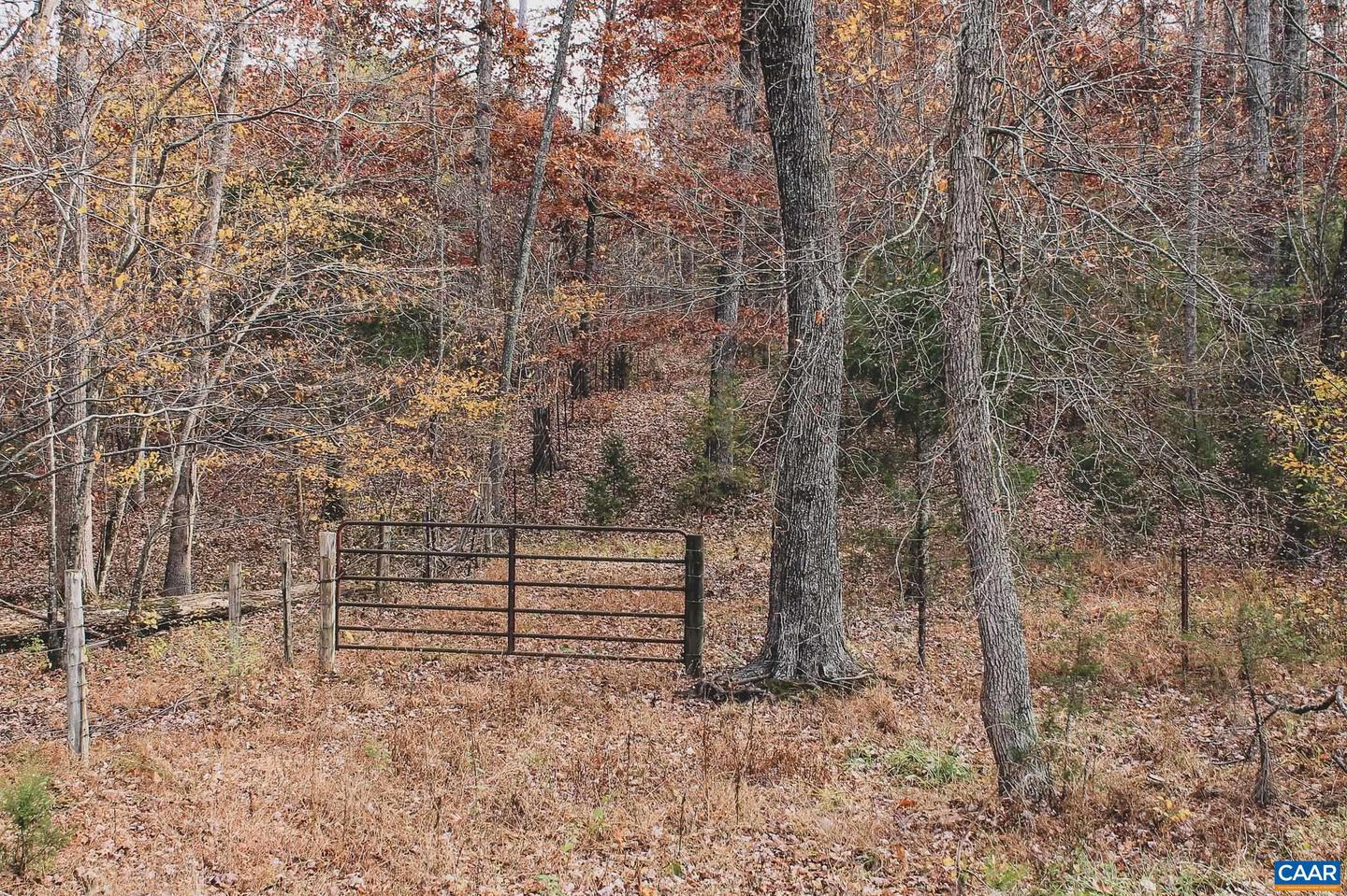 3785 ROLLING RD S, SCOTTSVILLE, Virginia 24590, 2 Bedrooms Bedrooms, ,1 BathroomBathrooms,Farm,For sale,3785 ROLLING RD S,670836 MLS # 670836 3785 ROLLING RD S, SCOTTSVILLE, Virginia 24590, 2 Bedrooms Bedrooms, ,1 BathroomBathrooms,Farm,For sale,3785 ROLLING RD S,670836 MLS # 670836