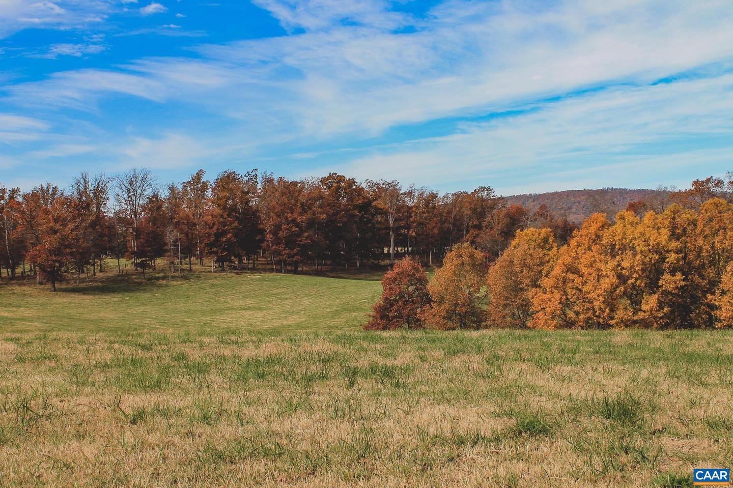 3785 ROLLING RD S, SCOTTSVILLE, Virginia 24590, 2 Bedrooms Bedrooms, ,1 BathroomBathrooms,Farm,For sale,3785 ROLLING RD S,670836 MLS # 670836 3785 ROLLING RD S, SCOTTSVILLE, Virginia 24590, 2 Bedrooms Bedrooms, ,1 BathroomBathrooms,Farm,For sale,3785 ROLLING RD S,670836 MLS # 670836