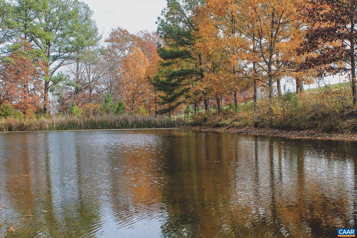 3785 ROLLING RD S, SCOTTSVILLE, Virginia 24590, 2 Bedrooms Bedrooms, ,1 BathroomBathrooms,Farm,For sale,3785 ROLLING RD S,670836 MLS # 670836 3785 ROLLING RD S, SCOTTSVILLE, Virginia 24590, 2 Bedrooms Bedrooms, ,1 BathroomBathrooms,Farm,For sale,3785 ROLLING RD S,670836 MLS # 670836