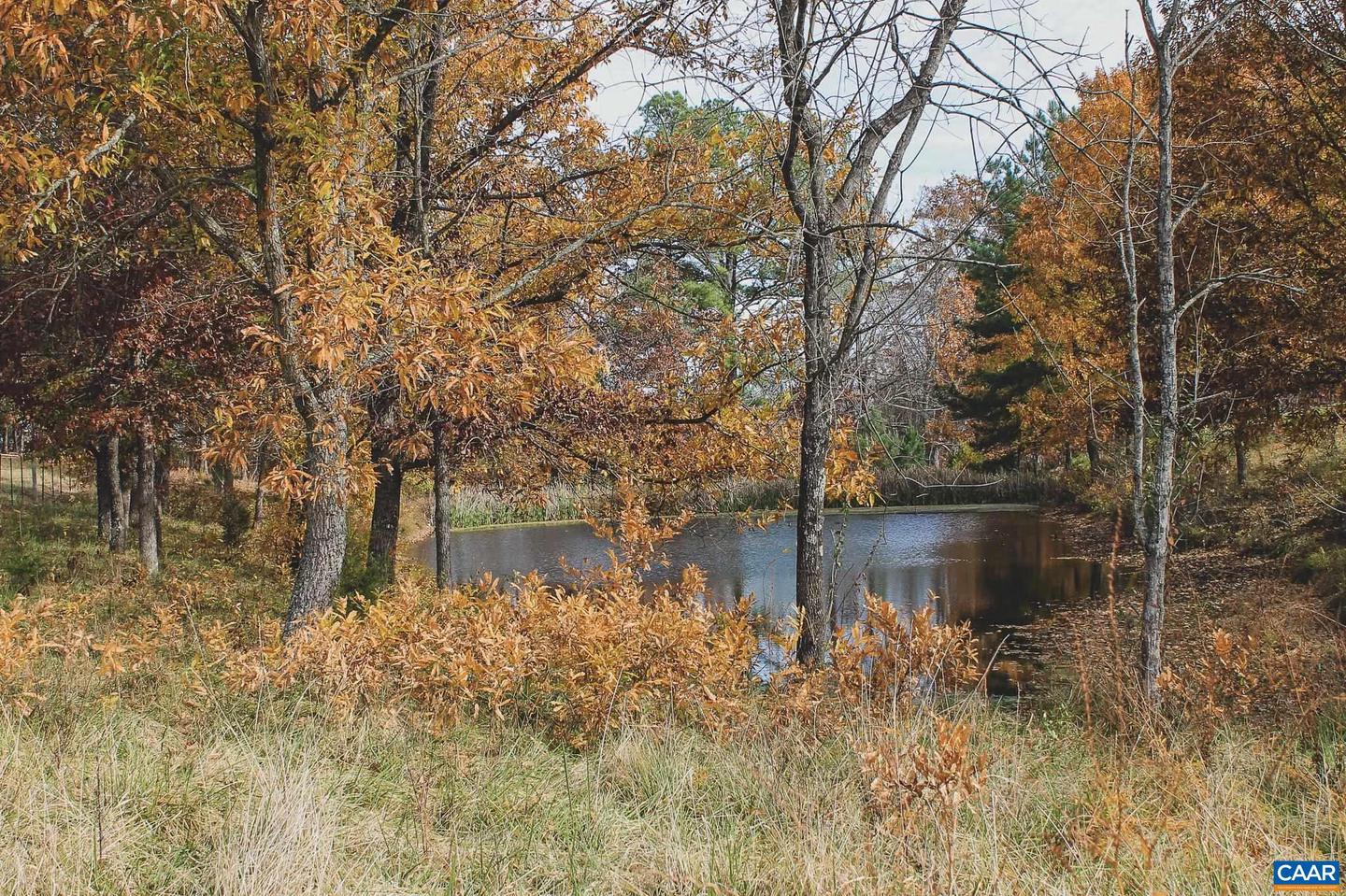 3785 ROLLING RD S, SCOTTSVILLE, Virginia 24590, 2 Bedrooms Bedrooms, ,1 BathroomBathrooms,Farm,For sale,3785 ROLLING RD S,670836 MLS # 670836 3785 ROLLING RD S, SCOTTSVILLE, Virginia 24590, 2 Bedrooms Bedrooms, ,1 BathroomBathrooms,Farm,For sale,3785 ROLLING RD S,670836 MLS # 670836