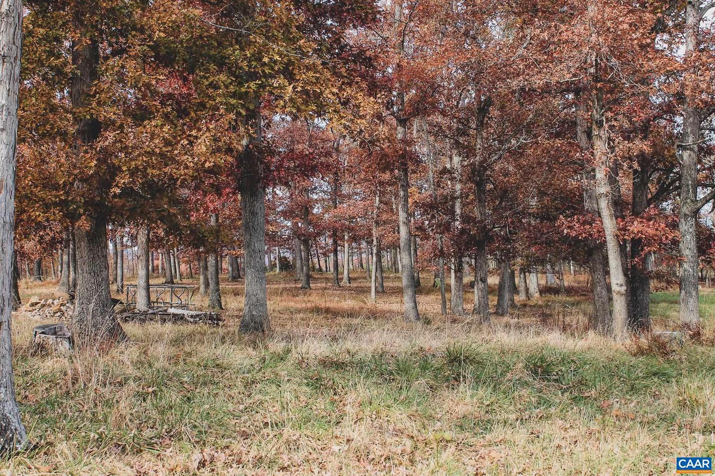 3785 ROLLING RD S, SCOTTSVILLE, Virginia 24590, 2 Bedrooms Bedrooms, ,1 BathroomBathrooms,Farm,For sale,3785 ROLLING RD S,670836 MLS # 670836 3785 ROLLING RD S, SCOTTSVILLE, Virginia 24590, 2 Bedrooms Bedrooms, ,1 BathroomBathrooms,Farm,For sale,3785 ROLLING RD S,670836 MLS # 670836