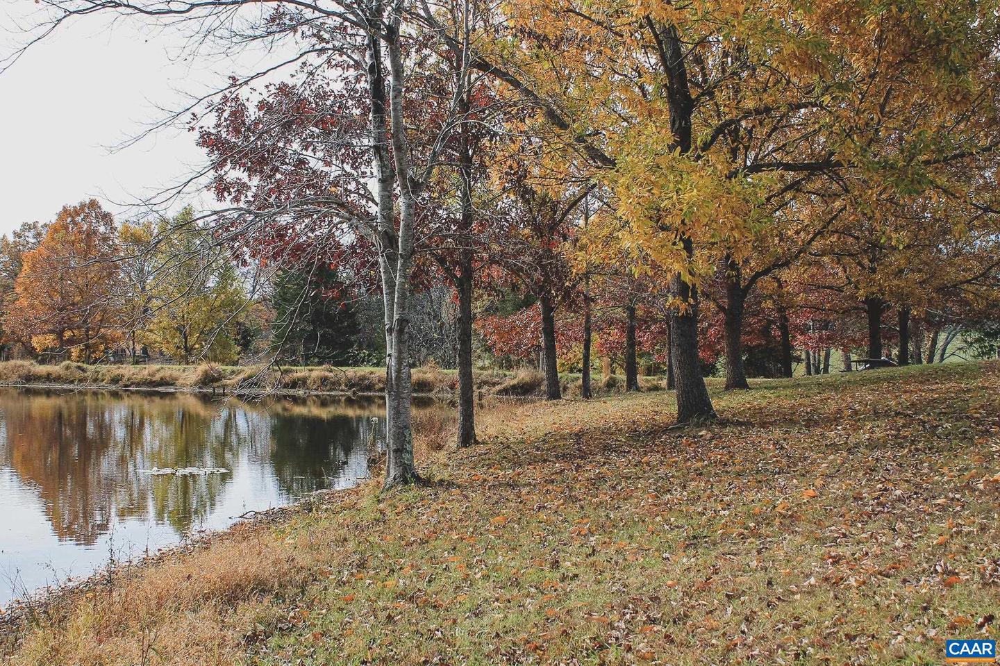 3785 ROLLING RD S, SCOTTSVILLE, Virginia 24590, 2 Bedrooms Bedrooms, ,1 BathroomBathrooms,Farm,For sale,3785 ROLLING RD S,670836 MLS # 670836 3785 ROLLING RD S, SCOTTSVILLE, Virginia 24590, 2 Bedrooms Bedrooms, ,1 BathroomBathrooms,Farm,For sale,3785 ROLLING RD S,670836 MLS # 670836