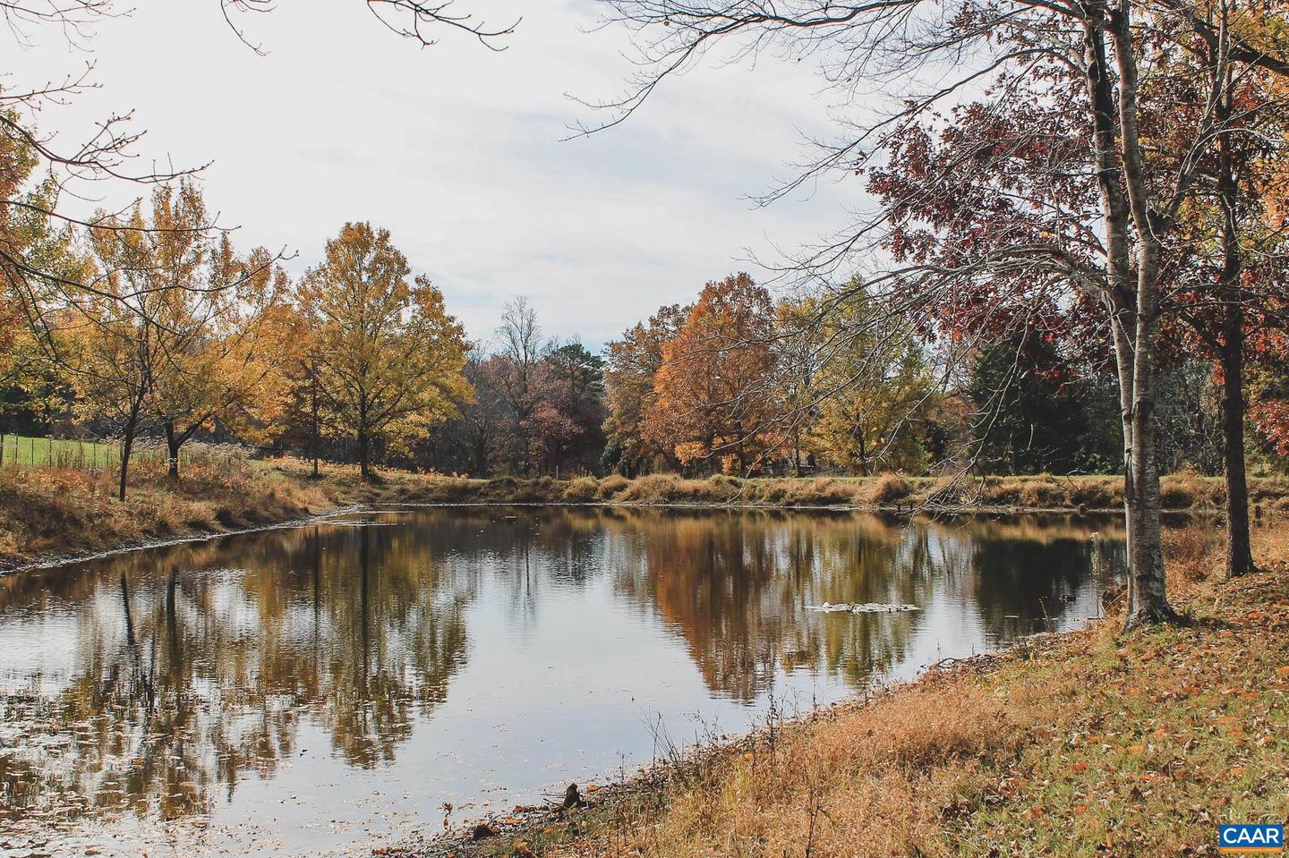 3785 ROLLING RD S, SCOTTSVILLE, Virginia 24590, 2 Bedrooms Bedrooms, ,1 BathroomBathrooms,Farm,For sale,3785 ROLLING RD S,670836 MLS # 670836 3785 ROLLING RD S, SCOTTSVILLE, Virginia 24590, 2 Bedrooms Bedrooms, ,1 BathroomBathrooms,Farm,For sale,3785 ROLLING RD S,670836 MLS # 670836