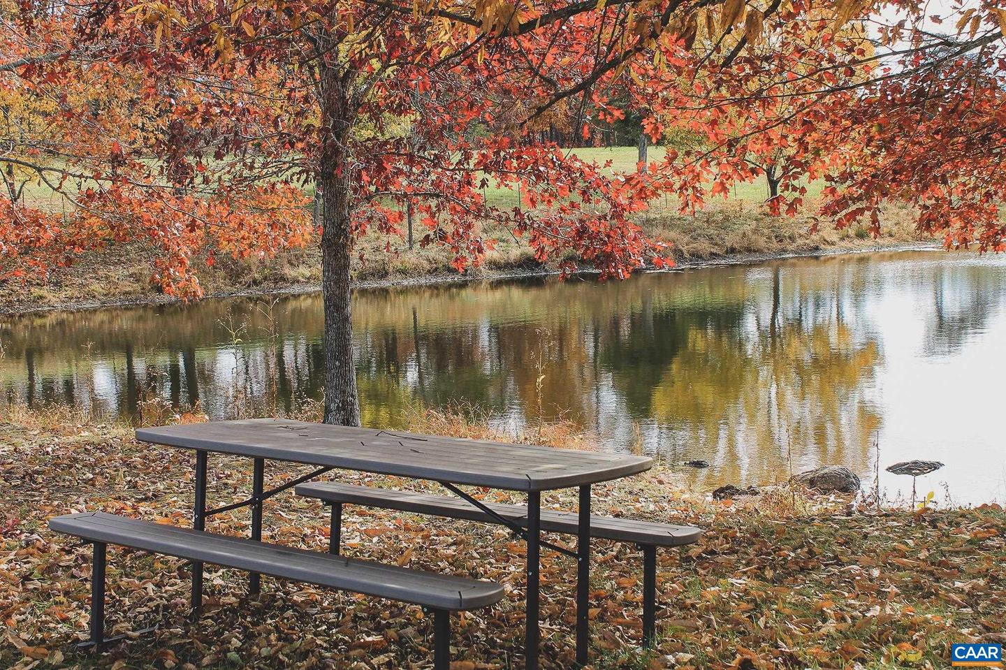 3785 ROLLING RD S, SCOTTSVILLE, Virginia 24590, 2 Bedrooms Bedrooms, ,1 BathroomBathrooms,Farm,For sale,3785 ROLLING RD S,670836 MLS # 670836 3785 ROLLING RD S, SCOTTSVILLE, Virginia 24590, 2 Bedrooms Bedrooms, ,1 BathroomBathrooms,Farm,For sale,3785 ROLLING RD S,670836 MLS # 670836