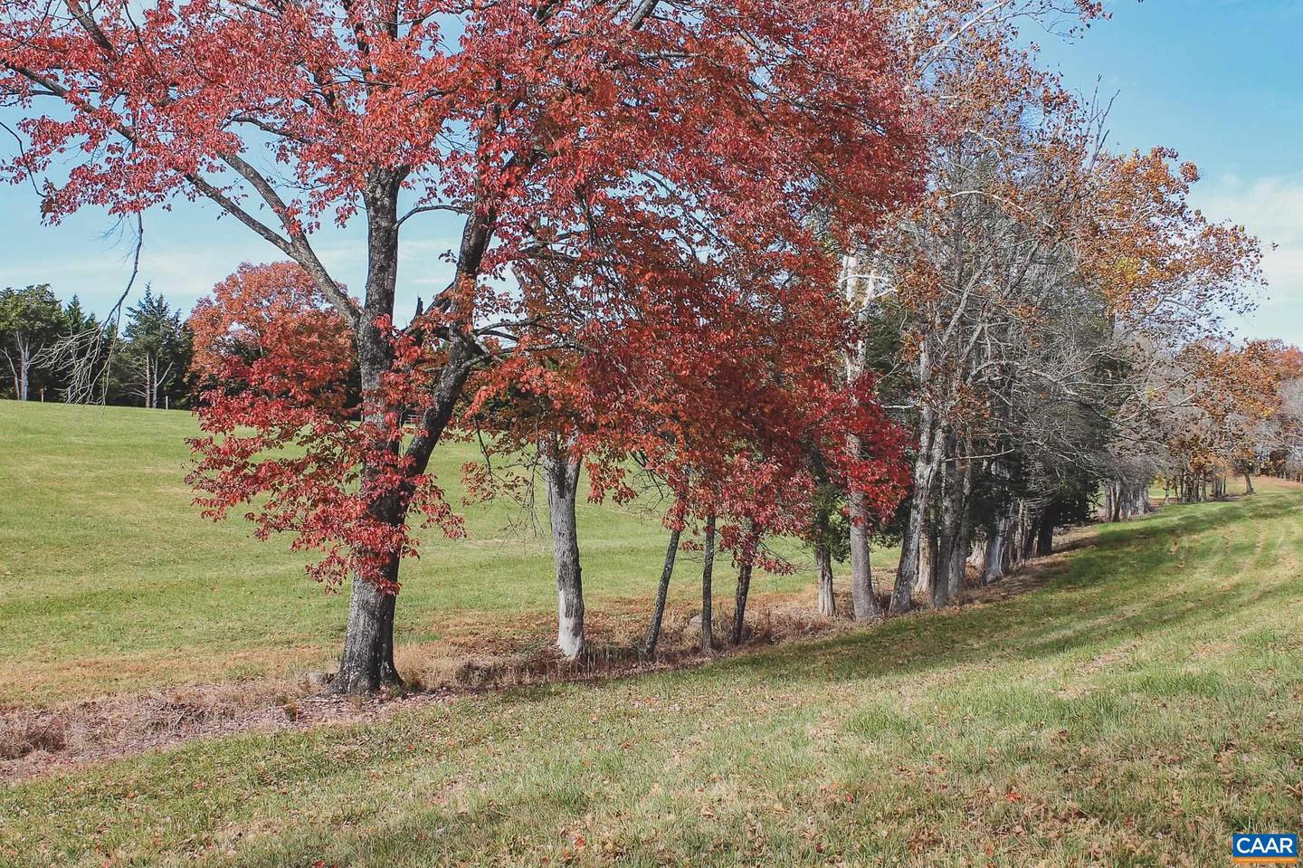 3785 ROLLING RD S, SCOTTSVILLE, Virginia 24590, 2 Bedrooms Bedrooms, ,1 BathroomBathrooms,Farm,For sale,3785 ROLLING RD S,670836 MLS # 670836 3785 ROLLING RD S, SCOTTSVILLE, Virginia 24590, 2 Bedrooms Bedrooms, ,1 BathroomBathrooms,Farm,For sale,3785 ROLLING RD S,670836 MLS # 670836