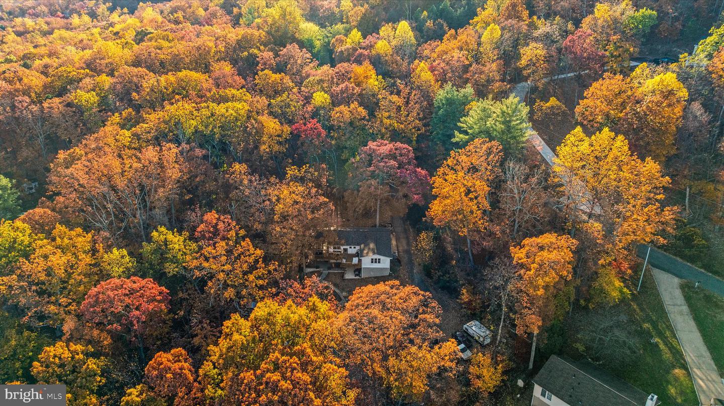 2113 GORE DR, HAYMARKET, Virginia 20169, 4 Bedrooms Bedrooms, ,2 BathroomsBathrooms,Residential,For sale,2113 GORE DR,VAPW2106980 MLS # VAPW2106980 2113 GORE DR, HAYMARKET, Virginia 20169, 4 Bedrooms Bedrooms, ,2 BathroomsBathrooms,Residential,For sale,2113 GORE DR,VAPW2106980 MLS # VAPW2106980