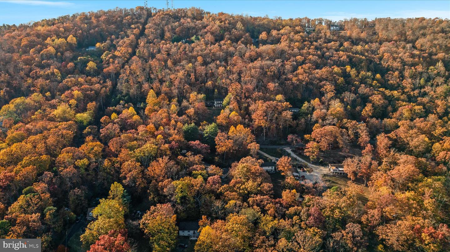 2113 GORE DR, HAYMARKET, Virginia 20169, 4 Bedrooms Bedrooms, ,2 BathroomsBathrooms,Residential,For sale,2113 GORE DR,VAPW2106980 MLS # VAPW2106980 2113 GORE DR, HAYMARKET, Virginia 20169, 4 Bedrooms Bedrooms, ,2 BathroomsBathrooms,Residential,For sale,2113 GORE DR,VAPW2106980 MLS # VAPW2106980