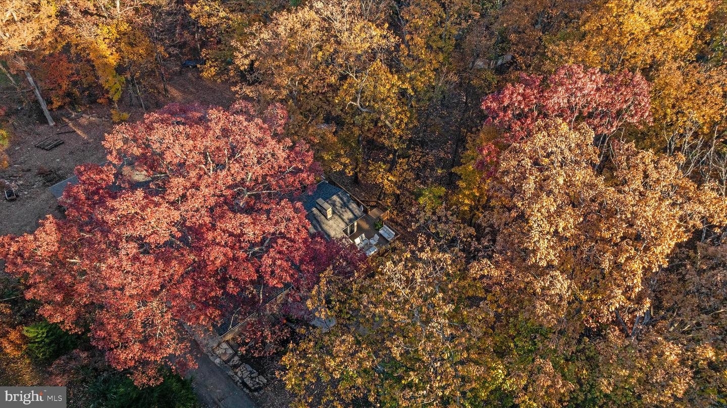 2113 GORE DR, HAYMARKET, Virginia 20169, 4 Bedrooms Bedrooms, ,2 BathroomsBathrooms,Residential,For sale,2113 GORE DR,VAPW2106980 MLS # VAPW2106980 2113 GORE DR, HAYMARKET, Virginia 20169, 4 Bedrooms Bedrooms, ,2 BathroomsBathrooms,Residential,For sale,2113 GORE DR,VAPW2106980 MLS # VAPW2106980