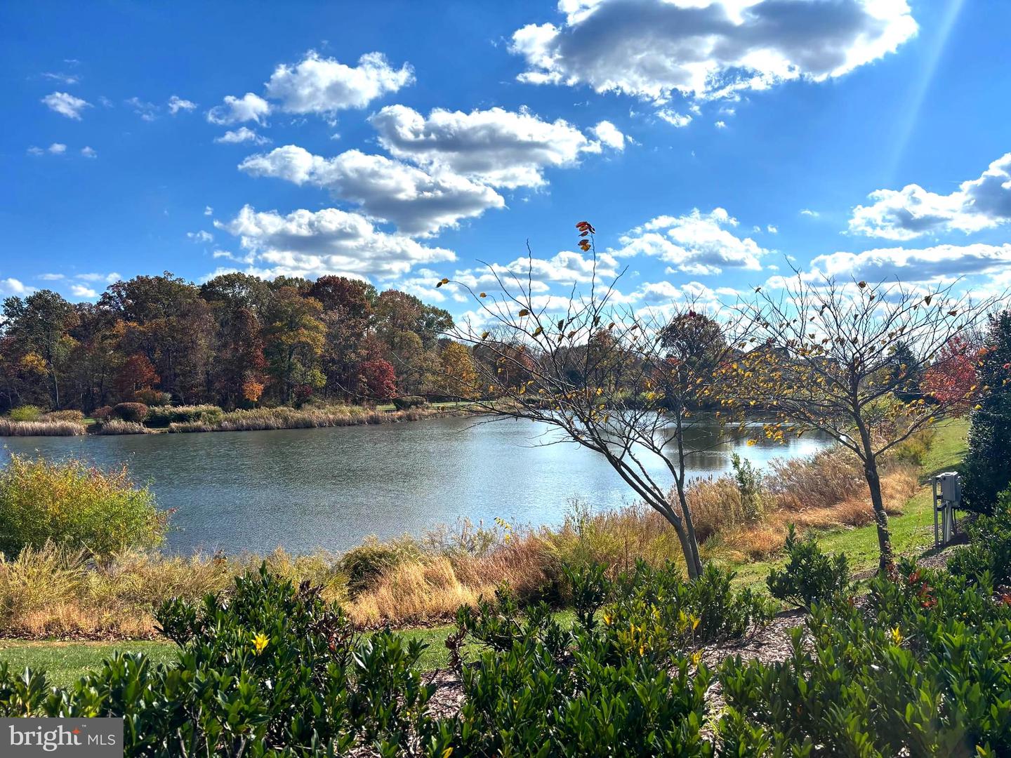 25970 LIQUIDAMBAR LN, ALDIE, Virginia 20105, 5 Bedrooms Bedrooms, ,4 BathroomsBathrooms,Residential,For sale,25970 LIQUIDAMBAR LN,VALO2110112 MLS # VALO2110112 25970 LIQUIDAMBAR LN, ALDIE, Virginia 20105, 5 Bedrooms Bedrooms, ,4 BathroomsBathrooms,Residential,For sale,25970 LIQUIDAMBAR LN,VALO2110112 MLS # VALO2110112