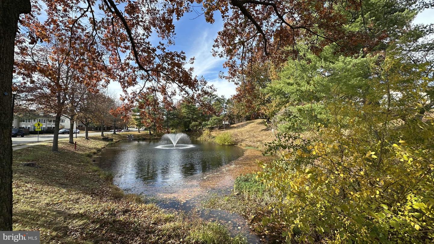 6902 MARY CAROLINE CIR #E, ALEXANDRIA, Virginia 22310, 1 Bedroom Bedrooms, ,1 BathroomBathrooms,Residential,For sale,6902 MARY CAROLINE CIR #E,VAFX2277188 MLS # VAFX2277188 6902 MARY CAROLINE CIR #E, ALEXANDRIA, Virginia 22310, 1 Bedroom Bedrooms, ,1 BathroomBathrooms,Residential,For sale,6902 MARY CAROLINE CIR #E,VAFX2277188 MLS # VAFX2277188