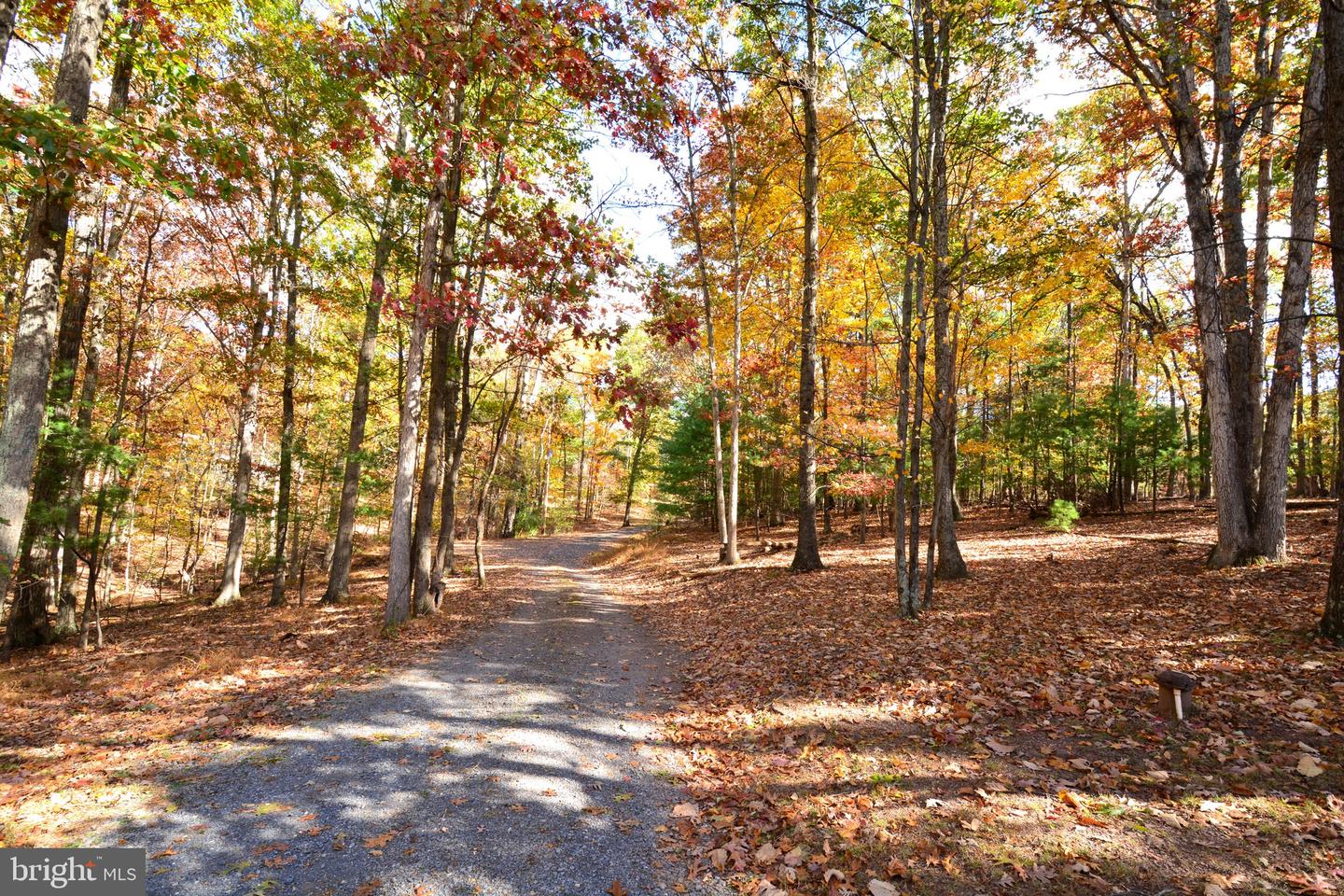 160 COUNTRY SQUIRE LN, WINCHESTER, Virginia 22603, 3 Bedrooms Bedrooms, ,3 BathroomsBathrooms,Residential,For sale,160 COUNTRY SQUIRE LN,VAFV2037788 MLS # VAFV2037788 160 COUNTRY SQUIRE LN, WINCHESTER, Virginia 22603, 3 Bedrooms Bedrooms, ,3 BathroomsBathrooms,Residential,For sale,160 COUNTRY SQUIRE LN,VAFV2037788 MLS # VAFV2037788
