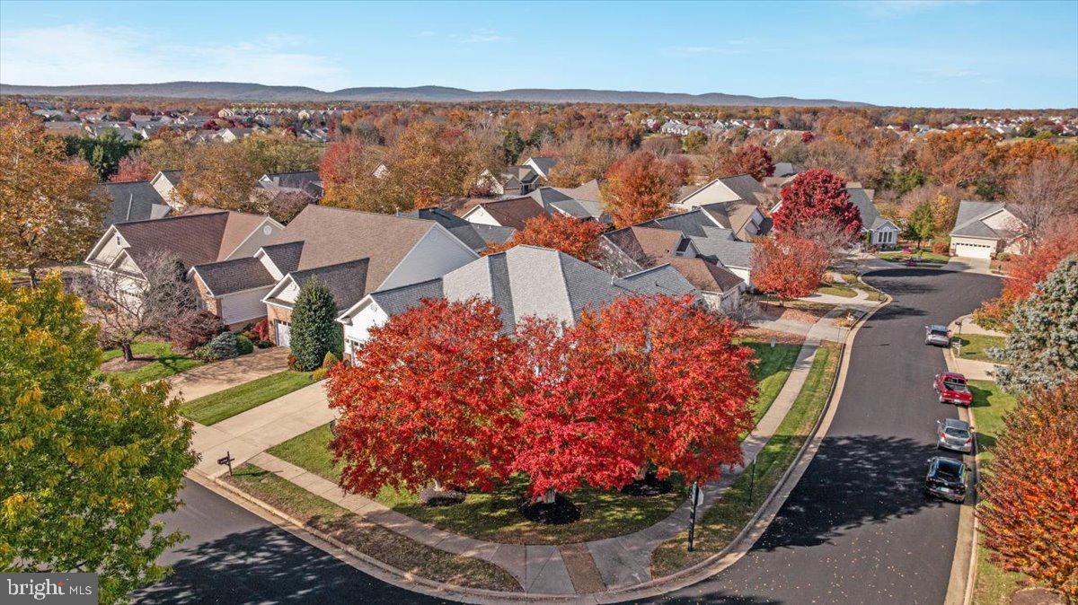 13612 RYTON RIDGE LN, GAINESVILLE, Virginia 20155, 4 Bedrooms Bedrooms, ,3 BathroomsBathrooms,Residential,For sale,13612 RYTON RIDGE LN,VAPW2107150 MLS # VAPW2107150 13612 RYTON RIDGE LN, GAINESVILLE, Virginia 20155, 4 Bedrooms Bedrooms, ,3 BathroomsBathrooms,Residential,For sale,13612 RYTON RIDGE LN,VAPW2107150 MLS # VAPW2107150