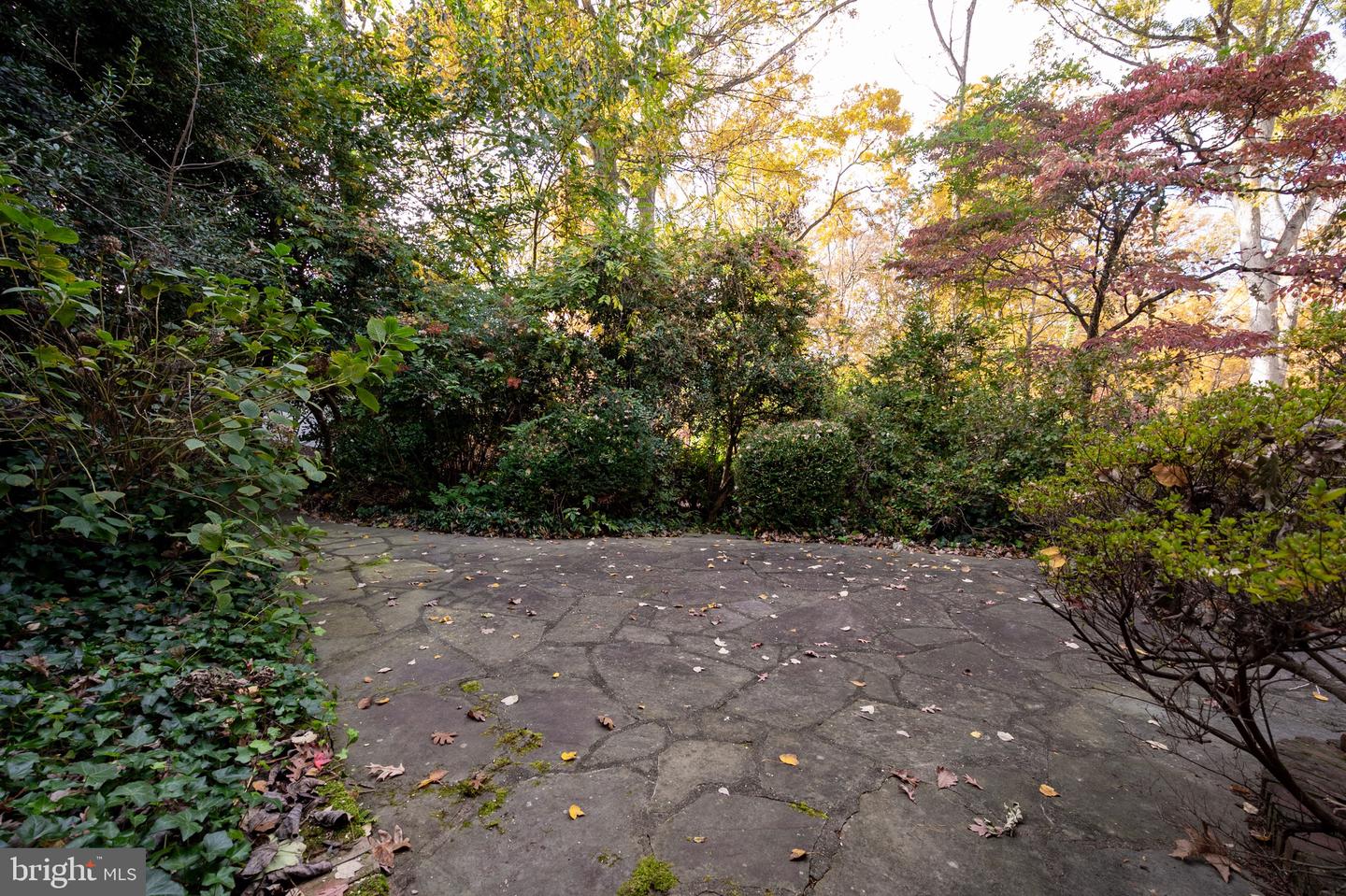 1911 MARTHAS RD, ALEXANDRIA, Virginia 22307, 4 Bedrooms Bedrooms, ,2 BathroomsBathrooms,Residential,For sale,1911 MARTHAS RD,VAFX2277520 MLS # VAFX2277520 1911 MARTHAS RD, ALEXANDRIA, Virginia 22307, 4 Bedrooms Bedrooms, ,2 BathroomsBathrooms,Residential,For sale,1911 MARTHAS RD,VAFX2277520 MLS # VAFX2277520