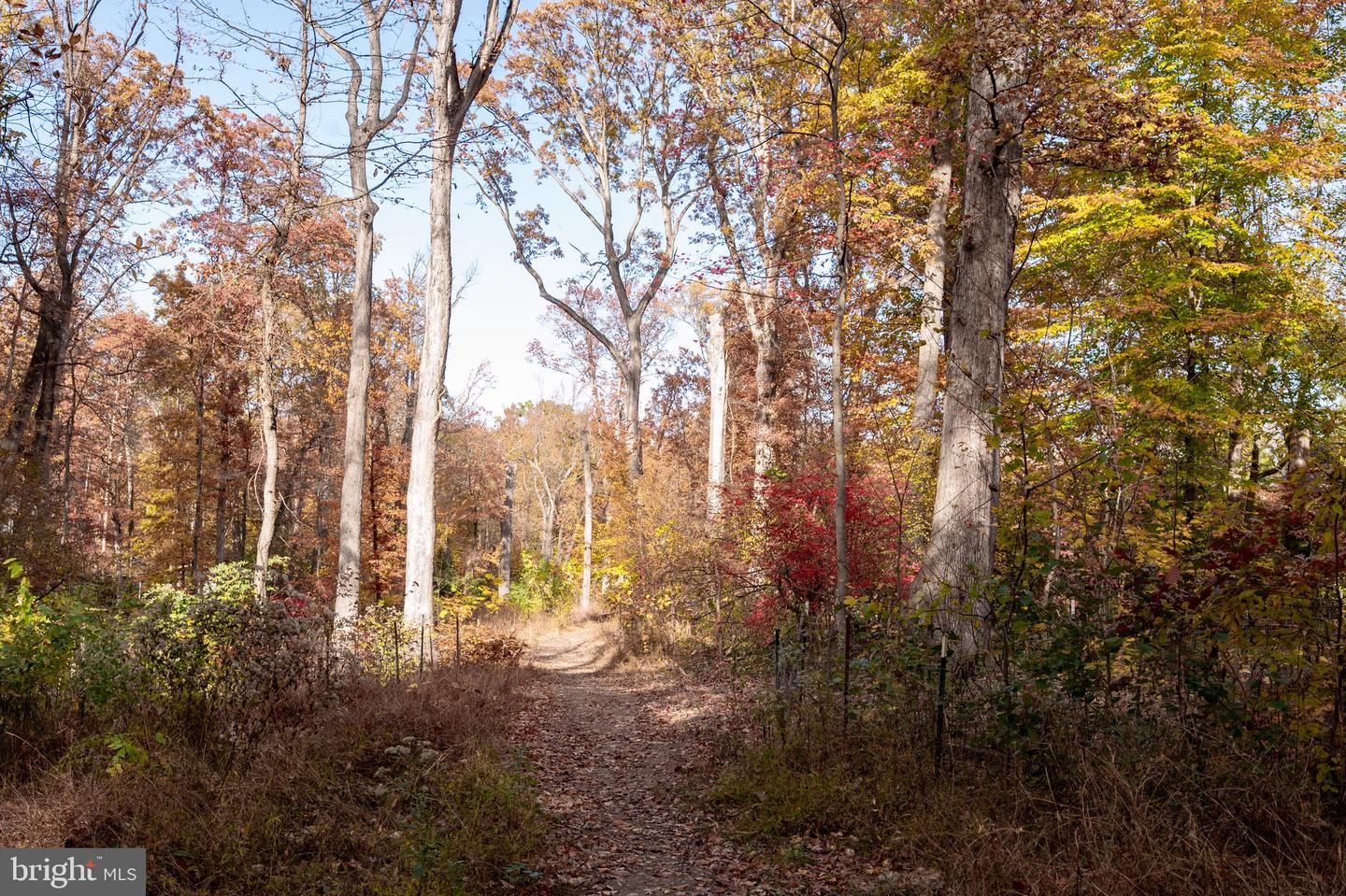 1911 MARTHAS RD, ALEXANDRIA, Virginia 22307, 4 Bedrooms Bedrooms, ,2 BathroomsBathrooms,Residential,For sale,1911 MARTHAS RD,VAFX2277520 MLS # VAFX2277520 1911 MARTHAS RD, ALEXANDRIA, Virginia 22307, 4 Bedrooms Bedrooms, ,2 BathroomsBathrooms,Residential,For sale,1911 MARTHAS RD,VAFX2277520 MLS # VAFX2277520