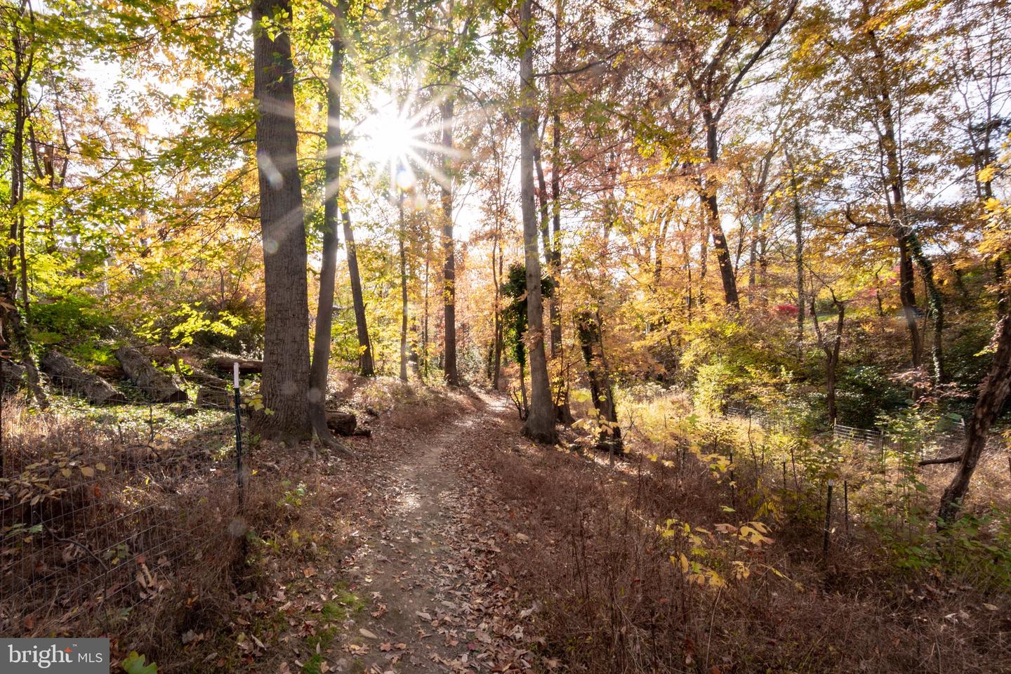 1911 MARTHAS RD, ALEXANDRIA, Virginia 22307, 4 Bedrooms Bedrooms, ,2 BathroomsBathrooms,Residential,For sale,1911 MARTHAS RD,VAFX2277520 MLS # VAFX2277520 1911 MARTHAS RD, ALEXANDRIA, Virginia 22307, 4 Bedrooms Bedrooms, ,2 BathroomsBathrooms,Residential,For sale,1911 MARTHAS RD,VAFX2277520 MLS # VAFX2277520