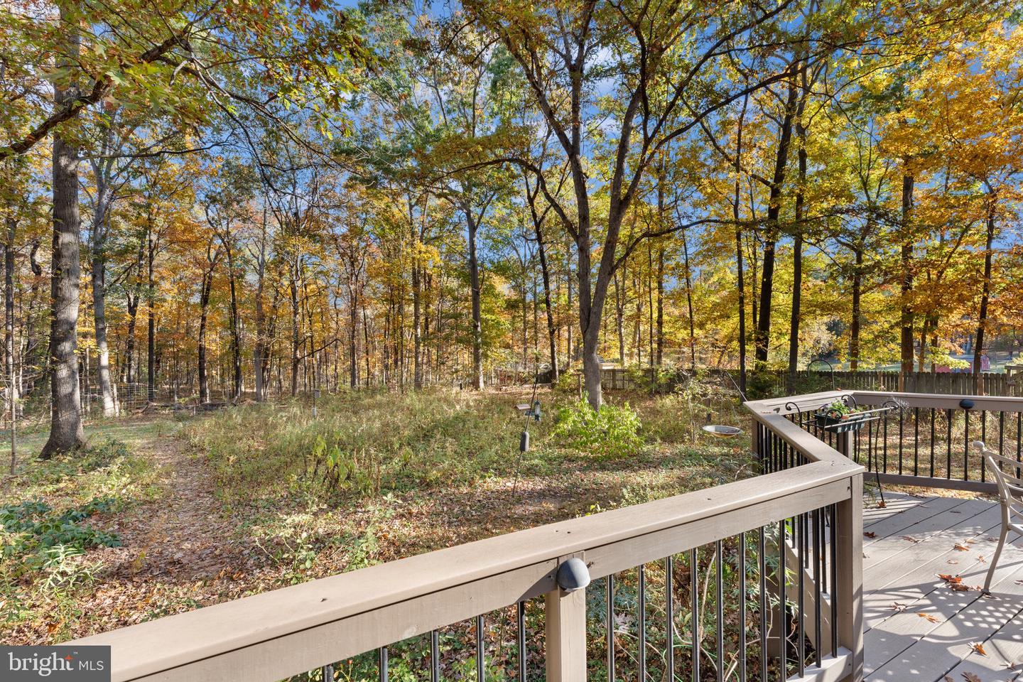 15544 NORMAN, CULPEPER, Virginia 22701, 3 Bedrooms Bedrooms, ,2 BathroomsBathrooms,Residential,For sale,15544 NORMAN,VACU2011992 MLS # VACU2011992 15544 NORMAN, CULPEPER, Virginia 22701, 3 Bedrooms Bedrooms, ,2 BathroomsBathrooms,Residential,For sale,15544 NORMAN,VACU2011992 MLS # VACU2011992