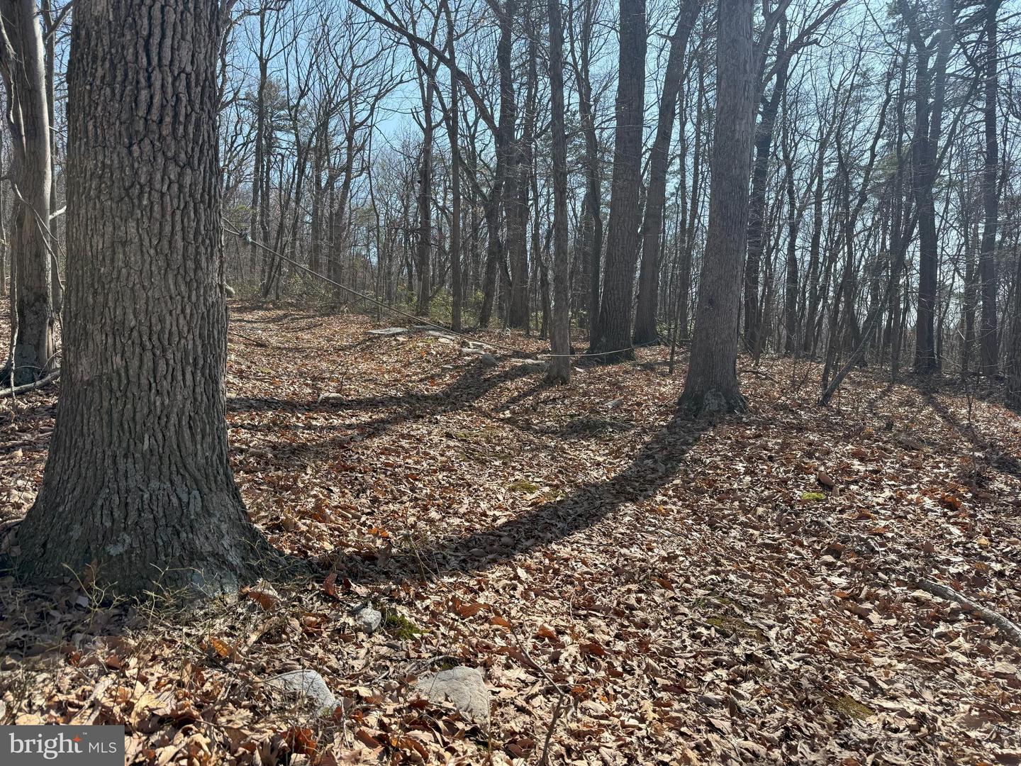 SHOTGUN SPRINGS, NEW MARKET, Virginia 22844, ,Land,For sale,SHOTGUN SPRINGS,VARO2002298 MLS # VARO2002298