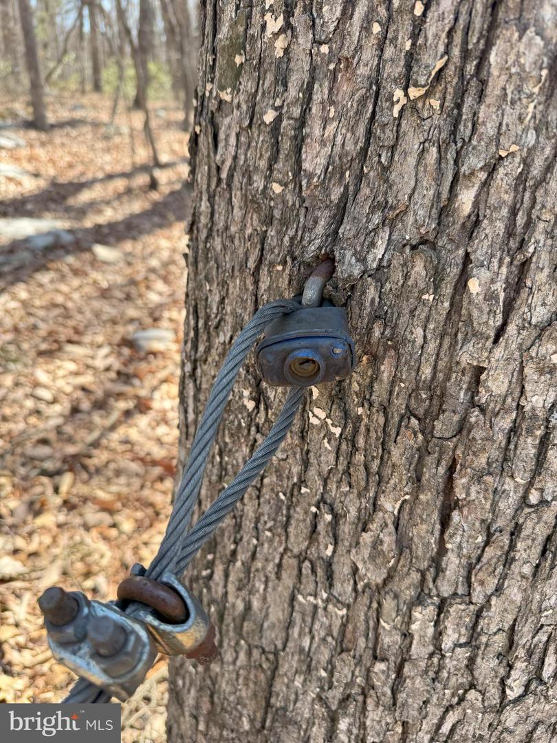 SHOTGUN SPRINGS, NEW MARKET, Virginia 22844, ,Land,For sale,SHOTGUN SPRINGS,VARO2002298 MLS # VARO2002298