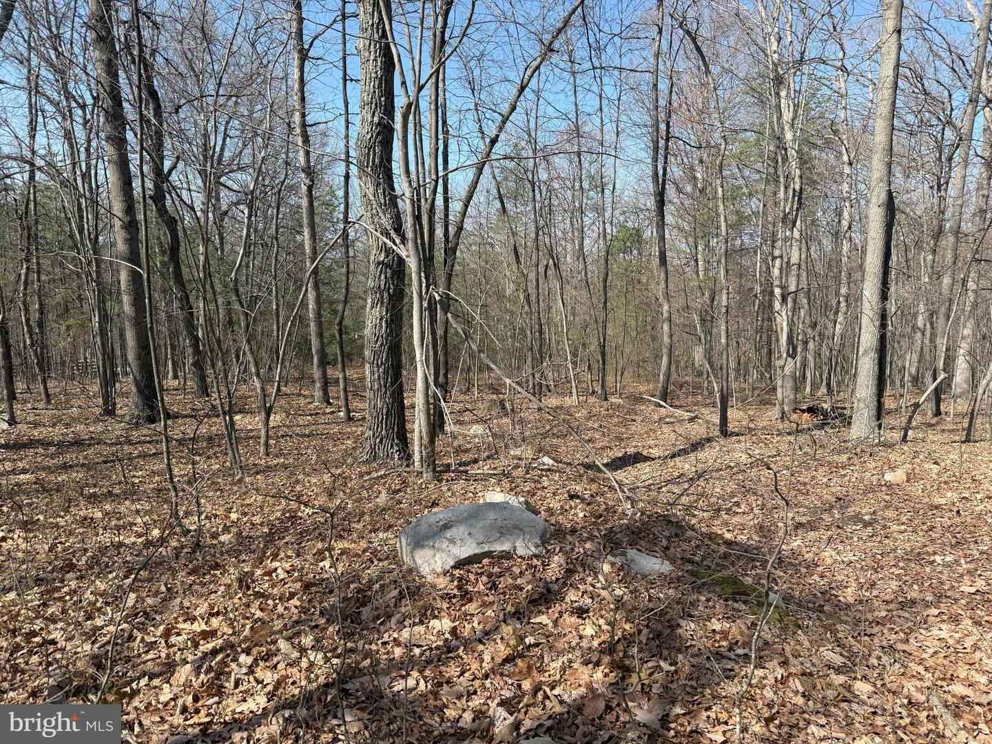 SHOTGUN SPRINGS, NEW MARKET, Virginia 22844, ,Land,For sale,SHOTGUN SPRINGS,VARO2002298 MLS # VARO2002298