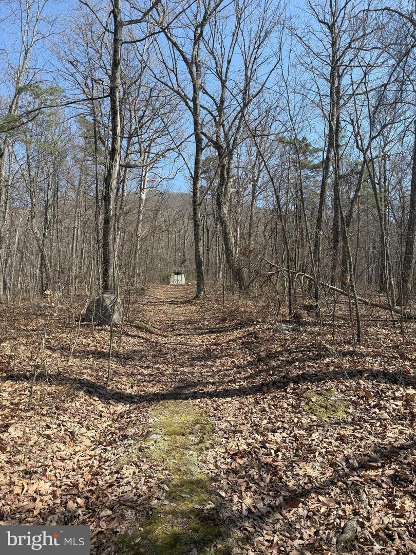 SHOTGUN SPRINGS, NEW MARKET, Virginia 22844, ,Land,For sale,SHOTGUN SPRINGS,VARO2002298 MLS # VARO2002298