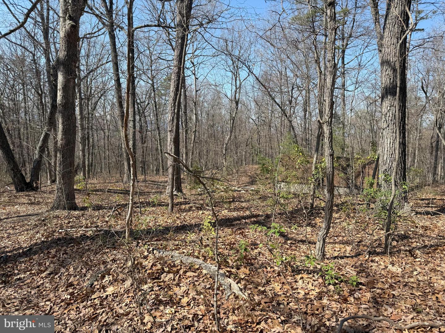 SHOTGUN SPRINGS, NEW MARKET, Virginia 22844, ,Land,For sale,SHOTGUN SPRINGS,VARO2002298 MLS # VARO2002298